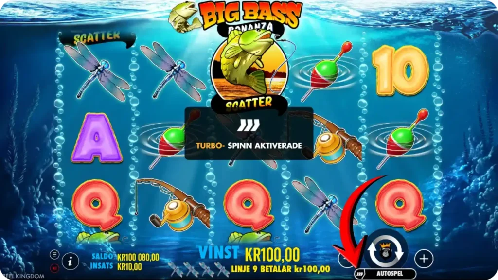 Markerad knapp för snurrhastighet i Big Bass Bonanza