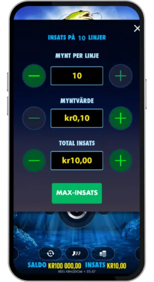 Välj insatsnivå
