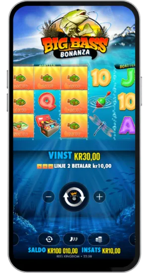 Vinnande fiskkombination